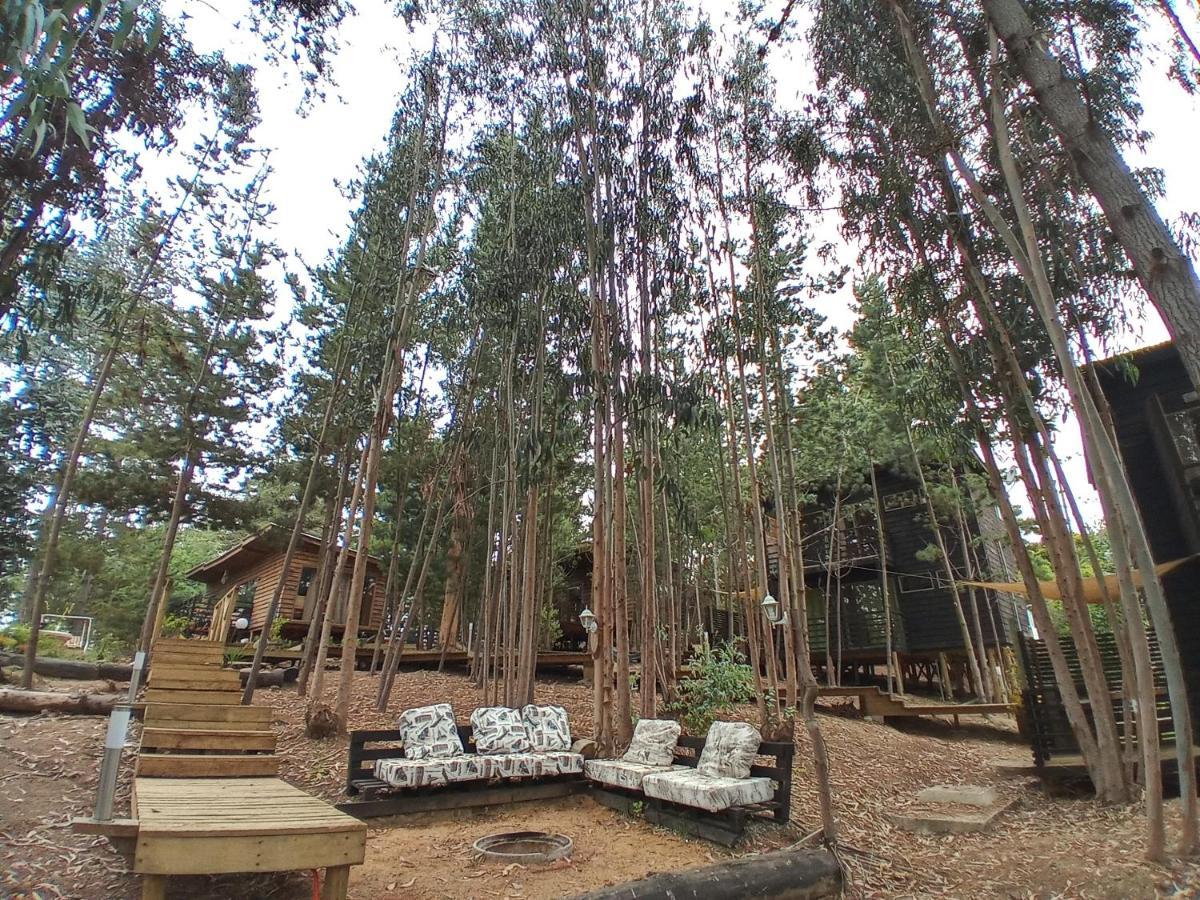 Lodge Terra Mar Pichilemu Extérieur photo