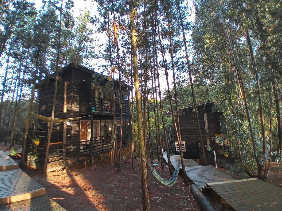 Lodge Terra Mar Pichilemu Extérieur photo