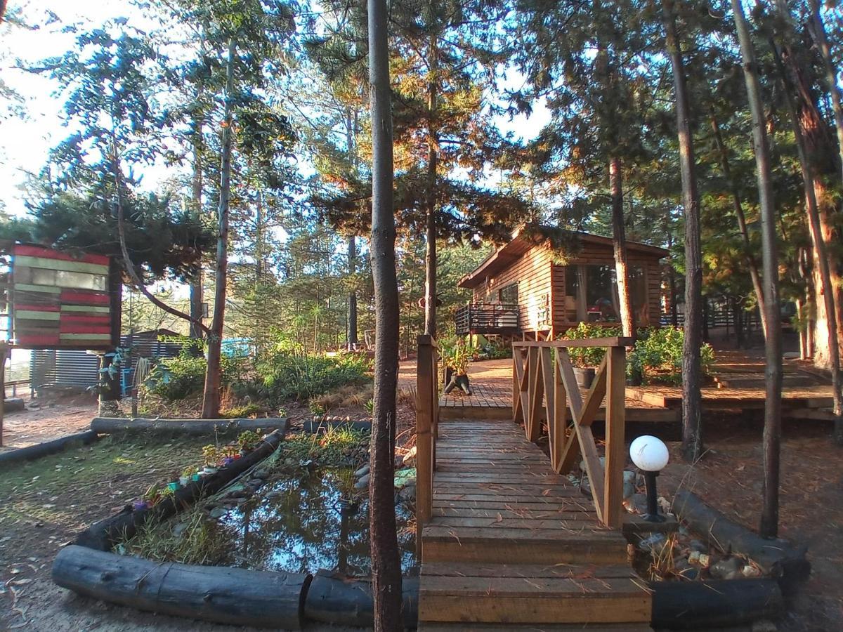 Lodge Terra Mar Pichilemu Extérieur photo