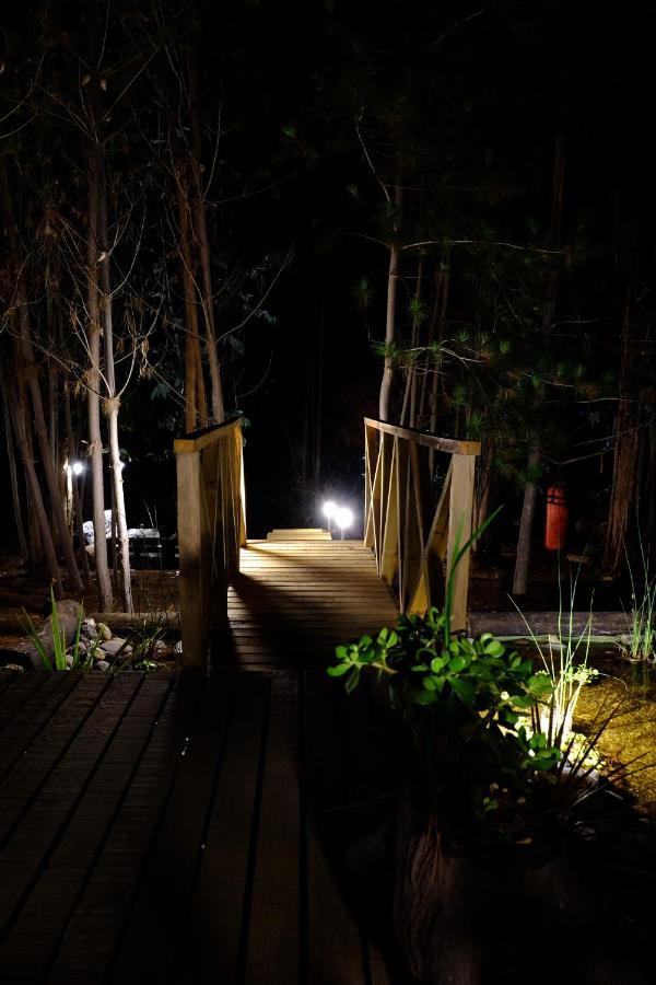 Lodge Terra Mar Pichilemu Extérieur photo